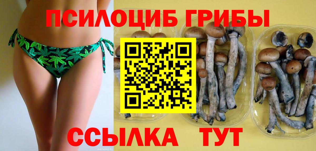 Галлюциногенные грибы Psilocybine cubensis  Вход с VPN  Дятьково  Галлюциногенные грибы Cubensis 
