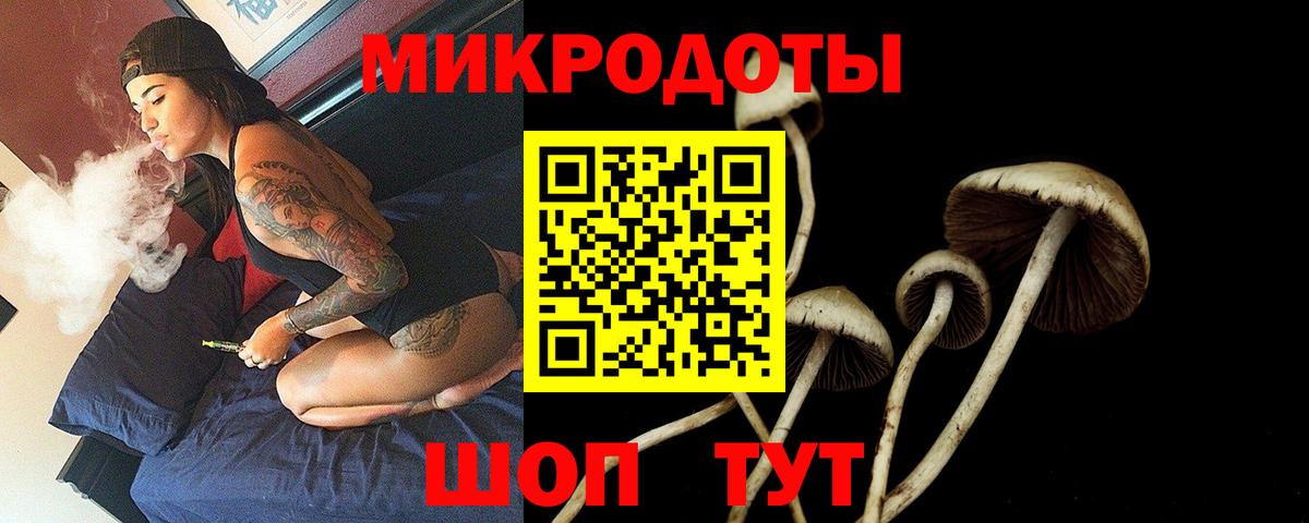 Галлюциногенные грибы мухоморы Дятьково